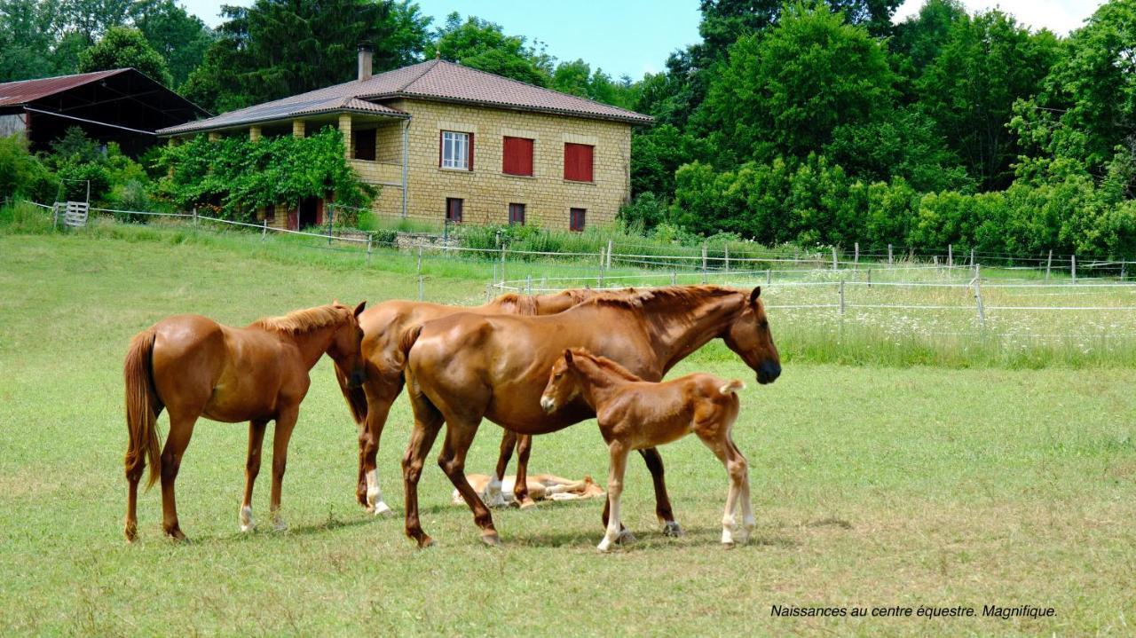 Domaine Du Champ De L'Hoste Hotel Larzac Buitenkant foto